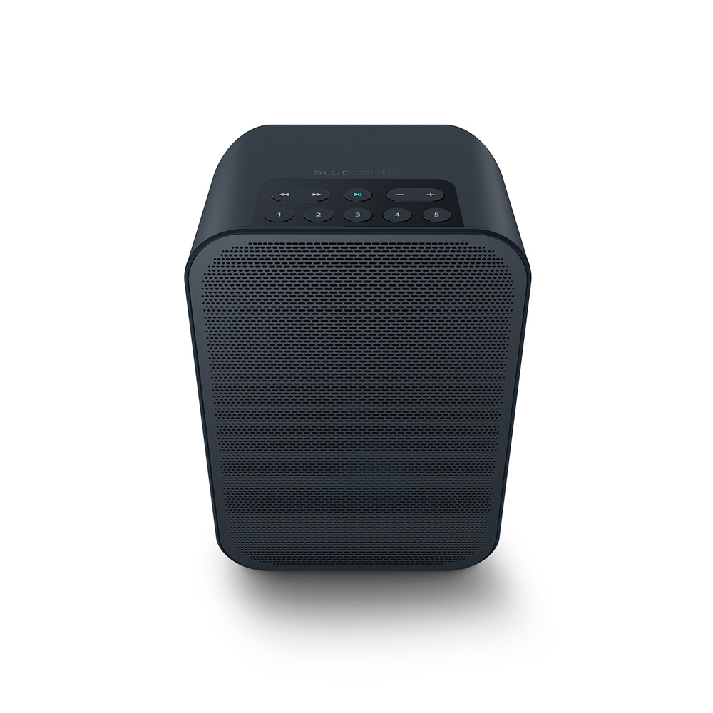 Bluesound PULSE FLEX 2i Schwarz - Der portable und flexible Streaming-Lautsprecher für Zuhause und unterwegs- UVP 349 EUR
